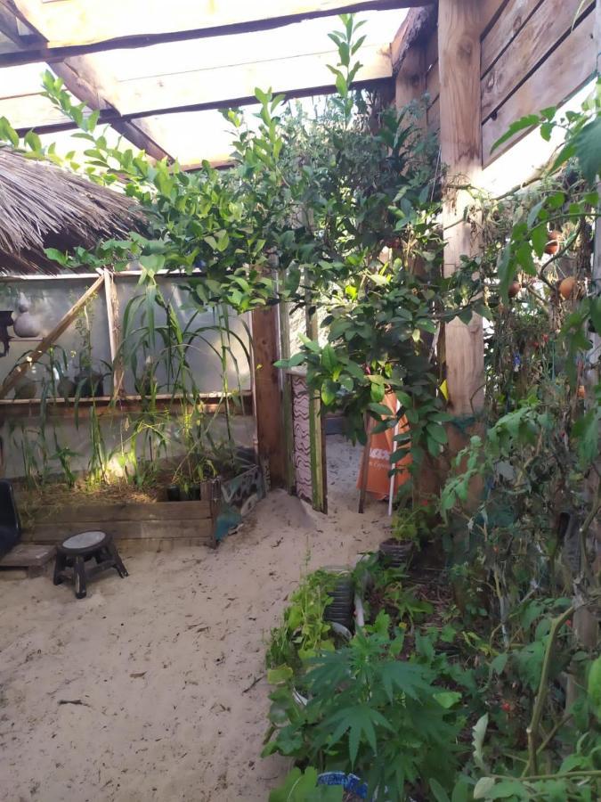 Casa Candombe Y Mar Barra de Valizas Exterior photo